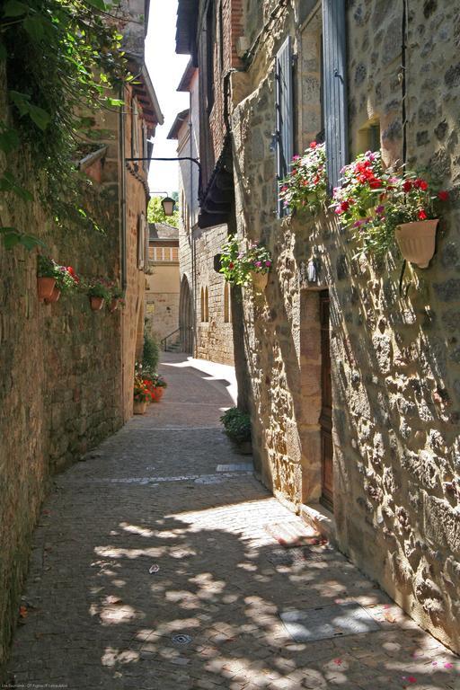 Domaine Du Surgie Ξενοδοχείο Figeac Εξωτερικό φωτογραφία